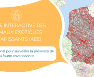 Cartographie AEE en Hauts-de-France