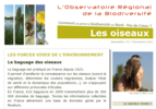 Aperçu Newsletter n°1 Observatoire biodiversité NPdC