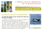 Aperçu Newsletter n°2 Observatoire biodiversité NPdC