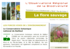 Aperçu Newsletter n°5 Observatoire biodiversité NPdC