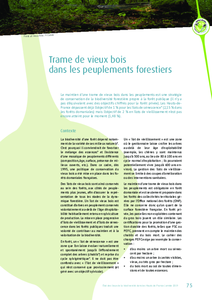 Trame de vieux bois dans les peuplements forestiers