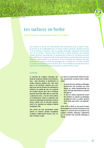 Les surfaces en herbe