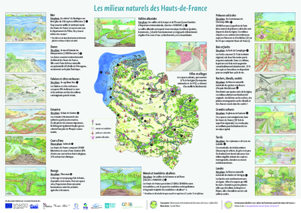 poster biodiversité école