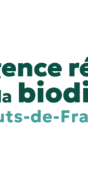 Logo Agence régionale de la biodiversité - Hauts-de-France : un outil partenarial au service de la biodiversité régionale