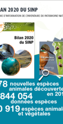 bilan SINP