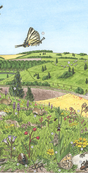 extrait-Nature-en-Hauts-de-France