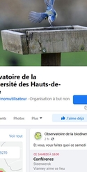 page facebook de l'Observatoire
