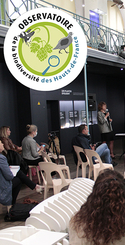 Synthèse de l'état es lieux de la biodiversité dans les Hauts-de-France en 2019 par Lou Dengreville