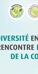 Webinaire Biodiversité en Hauts-de-France