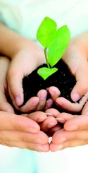 illustration séminaire biodiversité Amiens 15 novembre