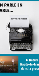 revue de presse