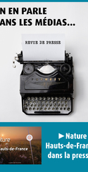 revue de presse