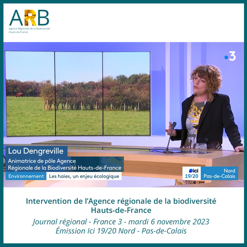 ARB France 3 Haies