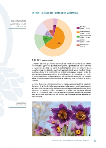 page-interne-borchure-indicateurs2019