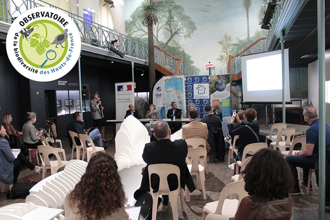 Synthèse de l'état es lieux de la biodiversité dans les Hauts-de-France en 2019 par Lou Dengreville