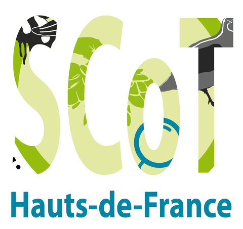 logo-SCoT-by-OBS