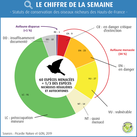 statut de conservation des oiseaux nicheurs