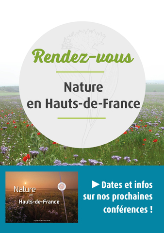 nature en hauts-de-france