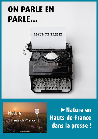 revue de presse