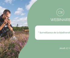 Webinaire programme de surveillance de la biodiversité terrestre
