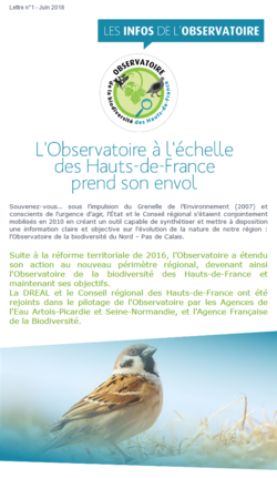 Aperçu Newsletter n°1 Observatoire biodiversité HdF