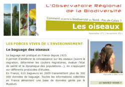 Aperçu Newsletter n°1 Observatoire biodiversité NPdC