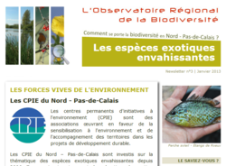 Aperçu Newsletter n°3 Observatoire biodiversité NPdC