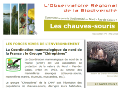 Aperçu Newsletter n°3 Observatoire biodiversité NPdC