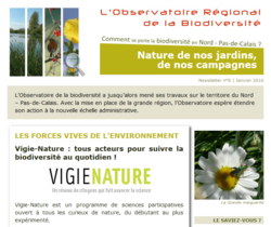 Aperçu Newsletter n°6 Observatoire biodiversité NPdC