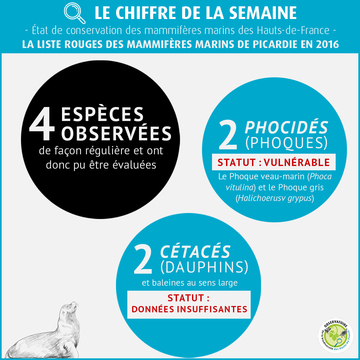 Etat de conservation des mammifères marins des Hauts-de-France